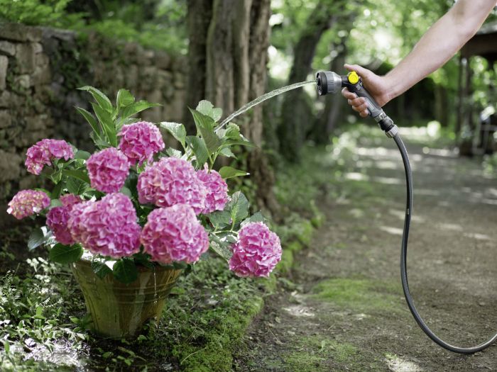 Шланг садовый Karcher Performance Premium 1/2" 20м 3 слоя до 50бар -20…+60°C