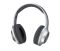 Наушники Panasonic RB-HX220BEE Over-ear Wireless Mic Silver