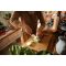Кухонный нож кухонный Santoku Fiskars Functional Form, 16см, нержавеющая сталь, пластик, черный