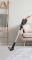 Вертик.безпровідний пилосос Gorenje SVC252FMBK