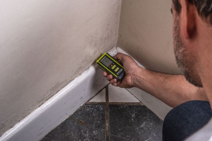 Влагомер Ryobi RBPINMM1 древесина/штукатурка/бетон ±2% 0.1кг