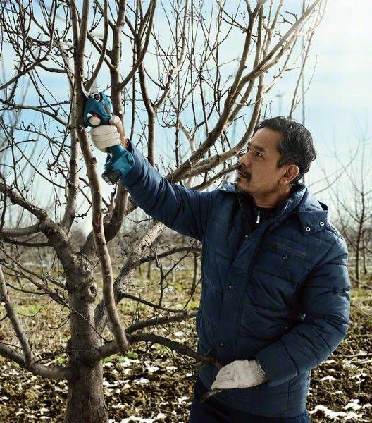 Секатор аккумуляторный Bosch Pro Pruner, 12В, 2х3Ач, d реза 25мм, 1000гр