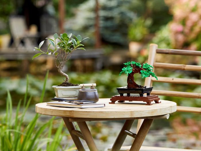 Конструктор LEGO Creator Expert Botanicals Бонсай