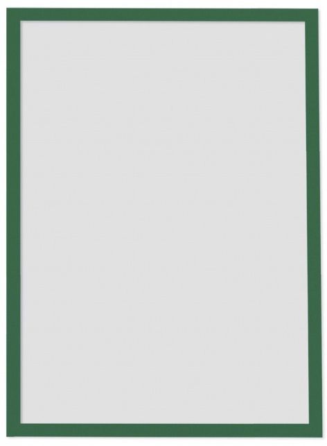 Рамки магнитные A4 зеленые Magnetofix Frame Green Set UA