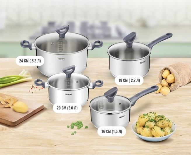 Набор посуды Tefal Daily Cook, 8 предметов, нержавеющая сталь, бакелит, стекло
