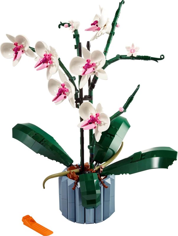 Конструктор LEGO Icons Botanicals Орхидея