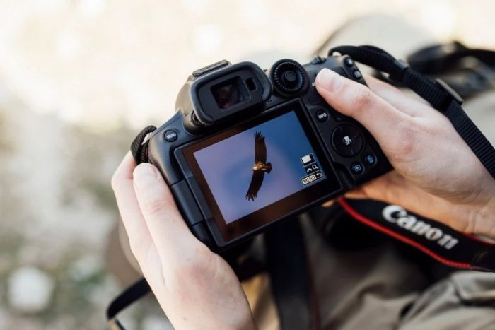 Цифр. фотокамера Canon EOS R7 + RF-S 18-150 IS STM