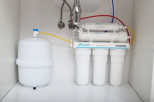 Фильтр обратного осмоса Ecosoft Standard 5-50M с минерализатором, мембрана 50gpd, кран капля