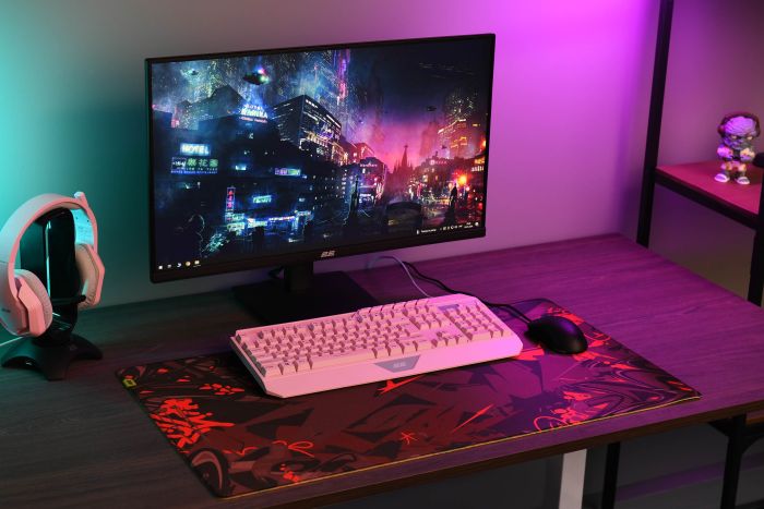 Игровая поверхность 2E GAMING PRO Speed D04, XL (800x450x3мм), многоцветный