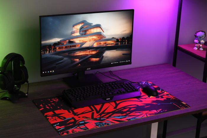 Игровая поверхность 2E GAMING PRO Speed D06, XL (800x450x3мм), многоцветный