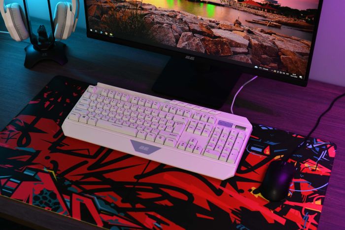 Игровая поверхность 2E GAMING PRO Speed D06, XL (800x450x3мм), многоцветный
