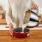 Кухонна машина Tefal I-Coach Touch, 1200Вт, чаша-метал, корпус-метал+пластик, дисплей, насадок-3, підкл. до смартфону, чорний