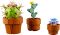 Конструктор LEGO Icons Botanicals Маленькі квіти