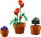 Конструктор LEGO Icons Botanicals Маленькі квіти