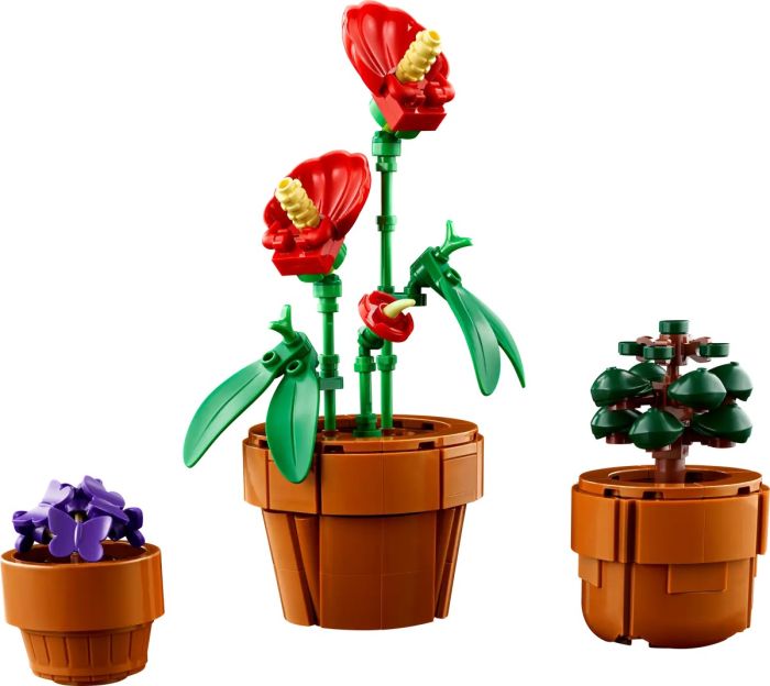 Конструктор LEGO Icons Botanicals Маленькі квіти