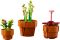 Конструктор LEGO Icons Botanicals Маленькі квіти