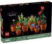Конструктор LEGO Icons Botanicals Маленькі квіти