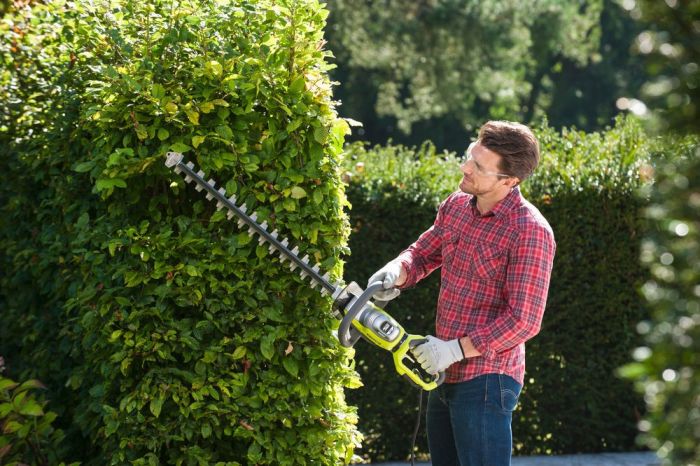 Кущоріз мережевий Ryobi RHT8165RL 800Вт 65см крок різу 34мм 4кг