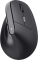 Мышь Trust Bayo 2 Ergonomic, WL/USB-A, черный