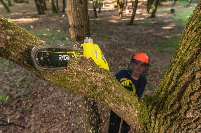 Высоторез цепной аккумуляторный Ryobi Max Power RY36PP25A-0 36В 25см 3м 4.3кг без АКБ и ЗУ