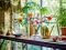 Конструктор LEGO Icons Botanicals Цвіт вишні