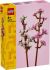 Конструктор LEGO Icons Botanicals Цвіт вишні