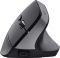 Миша Trust Bayo + Ergonomic, BT/WL/USB-A, чорний