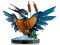 Конструктор LEGO Icons Рыбацкая птица