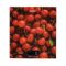 Ваги Ardesto кухонні CHERRY, 5кг, AAAx2 в комплекті, скло, багатокольоровий