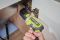 Отвертка аккумуляторная Ryobi USB Lithium RSD4-120TA2 4В 1х2А·ч 5Нм 200об·мин 2 насадки 10 бит 0.31кг кейс