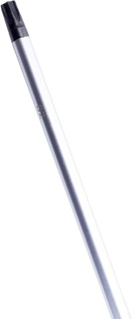 Викрутка Bosch Professional Torx T40x125мм