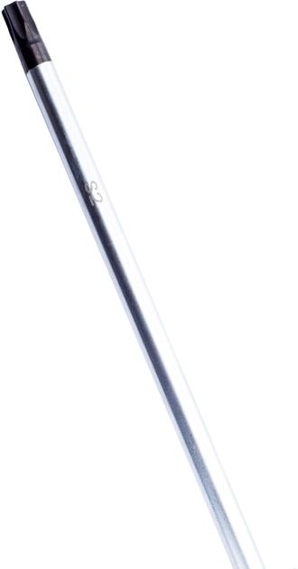 Викрутка Bosch Professional Torx T30x125мм