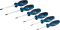 Викрутка Bosch Professional Torx набір 6шт, T10х75, T15х75, T20x100, T25x100, T30x125, T40x125мм