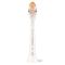 Насадки для звукової зубної щітки  Sonicare  Premium All-in-One Philips HX9094/87