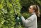 Кущоріз акумуляторний Bosch EasyHedgeCut 18-45 18В лезо 45см крок різу 15мм 3.02кг без АКБ та ЗП
