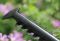 Кущоріз акумуляторний Bosch EasyHedgeCut 18-45 18В лезо 45см крок різу 15мм 3.02кг без АКБ та ЗП