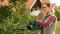 Кусторез аккумуляторный Bosch EasyHedgeCut 18V-52-13 18В лезвие 52см шаг реза 15мм 3.28кг без АКБ и ЗП