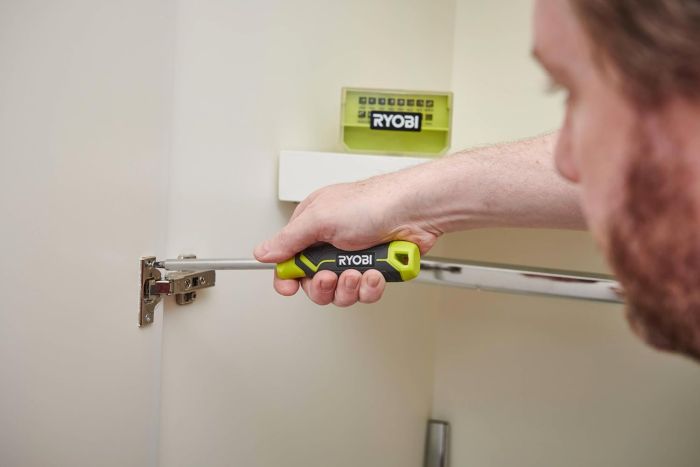 Викрутка Ryobi RHSDM1701, битотримач 1/4", 100мм, 16 біт, SL,PH,PZ,Torx, кейс