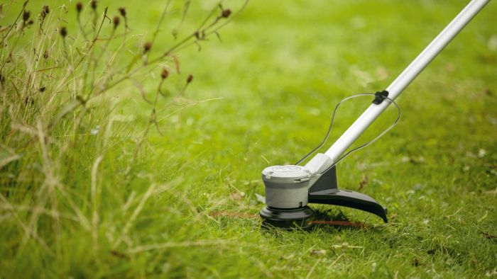 Триммер садовый аккумуляторный Bosch AdvancedGrassCut 36V-33 36V 33см 1х2А·час ЗП AL 36V-20 4кг