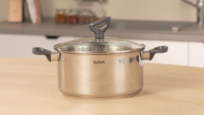 Кастрюля Tefal Daily Cook с крышкой, 24см, нержавеющая сталь, алюминий, бакелит