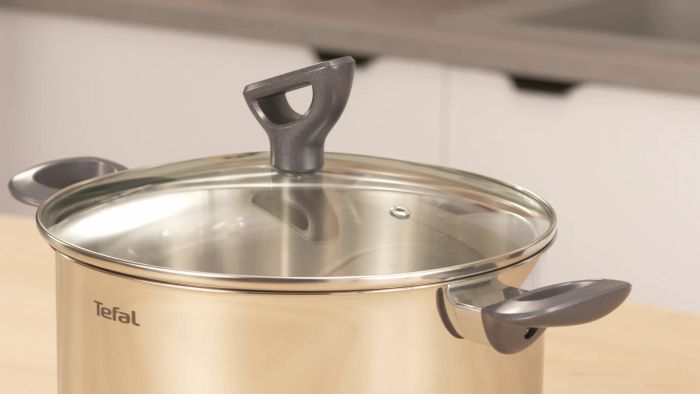 Кастрюля Tefal Daily Cook с крышкой, 24см, нержавеющая сталь, алюминий, бакелит