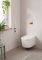 Комплект Grohe Rapid SLX унитаз/биде со скрытым монтажом 4 в 1