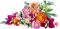 Конструктор LEGO Botanicals Милый розовый букет цветов