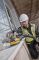 Шлифмашина эксцентриковая DeWalt 280Вт 8000-12000об·мин 125мм амплитуда 2.6мм 1.28кг
