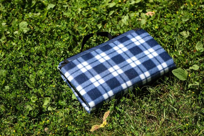 Плед Ardesto Picnic 130х170см, 100% поліестер, клітинка синій