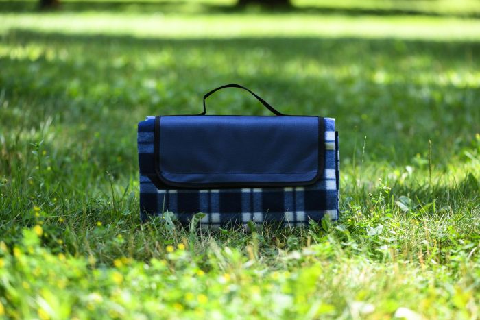 Плед Ardesto Picnic 130х170см, 100% поліестер, клітинка синій