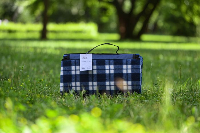 Плед Ardesto Picnic 130х170см, 100% поліестер, клітинка синій