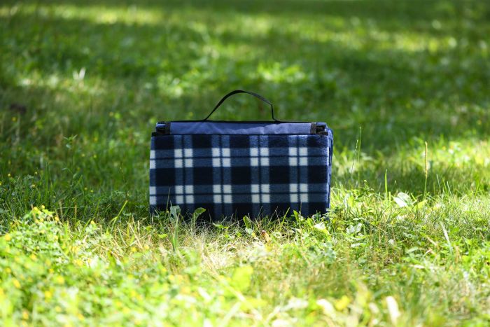 Плед Ardesto Picnic 130х170см, 100% поліестер, клітинка синій