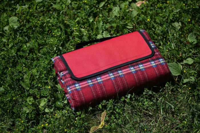 Плед Ardesto Picnic 130х170см, 100% полиэстер, клетка красный