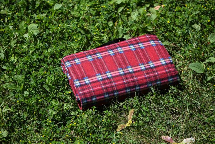 Плед Ardesto Picnic 130х170см, 100% полиэстер, клетка красный